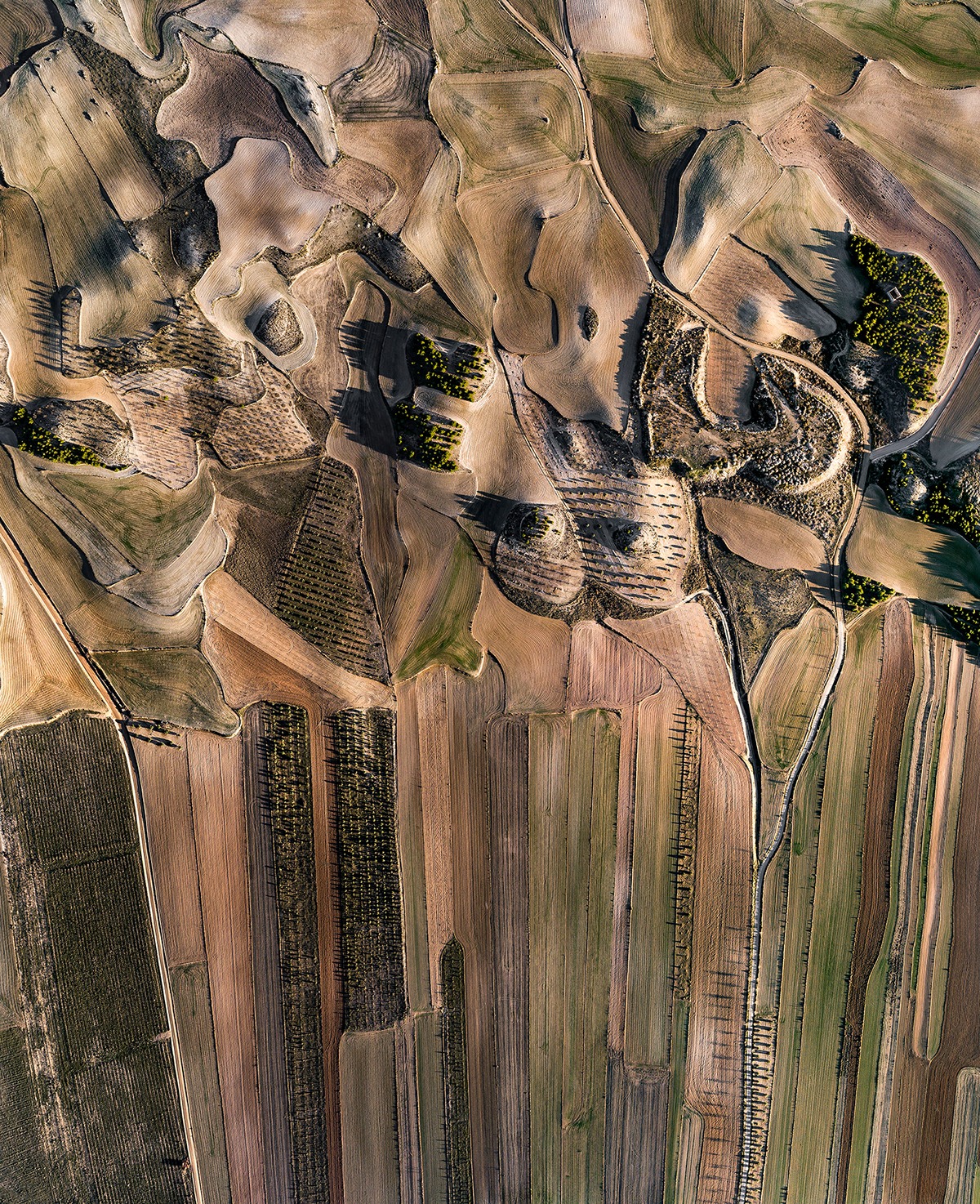 El Romeral Sur - The tiny, amorphous plots are shaped by long-gone streams and volcanic relief, while the elongated plots are formed on the site of a former river or flat lake bed. El Romeral, Toledo, Spain. 12/31/2018
Visible width: 862 m